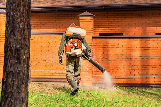 Trusted Cockroach Control service in Bayview, CA - Nex Pest Control